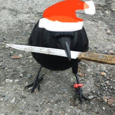 Birb the professional silly guyさんのプロフィール画像