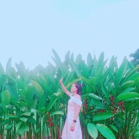Thủy Lê(@L919405Le) 's Twitter Profile Photo