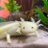 bagida_waad's profile image