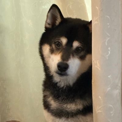 kaige_fn44's profile picture. 