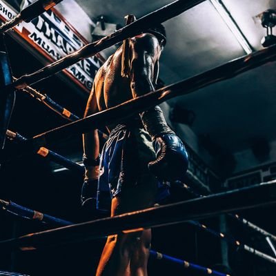 calvinuniverse's profile picture. Destined to be GREAT