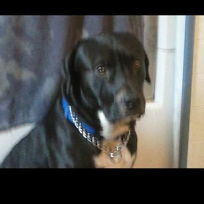 unclemikey2004's profile picture. 