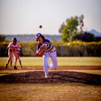 Landon Di Camillo (@dicamillo_l2) 's Twitter Profile