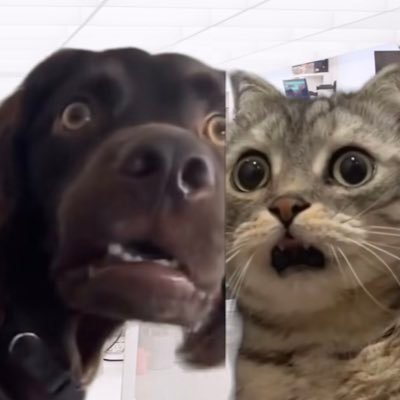 rayKfourty7's profile picture. 