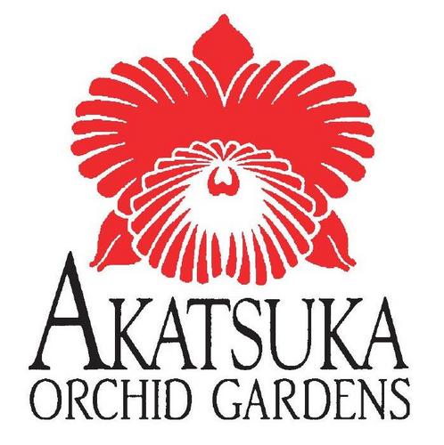 AkatsukaOrchid Profile Picture