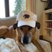 Boston College Minifan (@bcbullgang) Twitter profile photo Boston College Minifan (@bcbullgang) Twitter profile photo