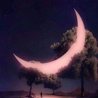 Ye0143533612784's profile picture. 没事儿一起看个球