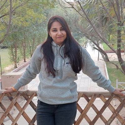 Snehip30's profile picture. WordPress Developer
