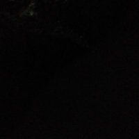 felipe rios (@swtexcoco23) 's Twitter Profile