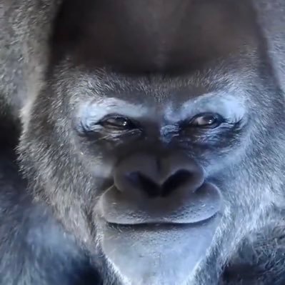 asano95519186's profile picture. just me