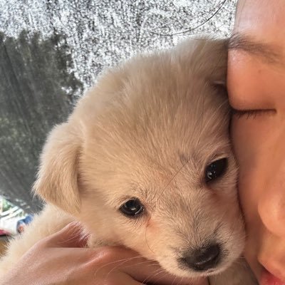 hh49126464's profile picture. 悉尼/济南/山东/喜欢肌肉/发照片交个朋友/没肌肉勿扰或过门槛
