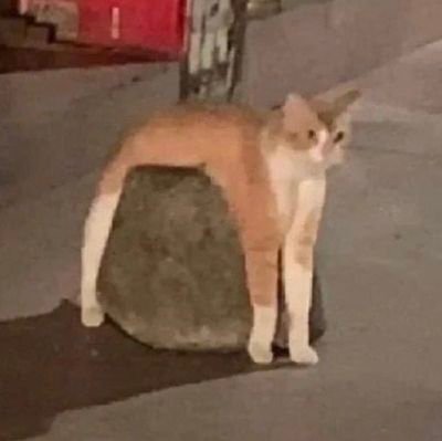 duendeymis's profile picture. 