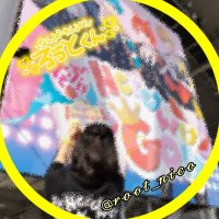 りと。 (@r_rito_1025) 's Twitter Profile