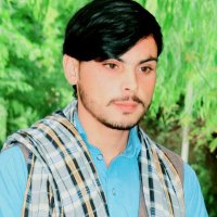 Farid Shirzad (@shirzadfar60658) 's Twitter Profile