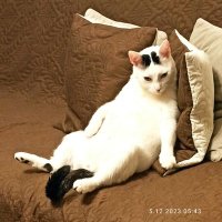 Andrzej πΎπͺπ―π΄ Born in the PRL/π΅π±π§πΎπ·πΊπ·πΈ (@andrzej28587694) 's Twitter Profile