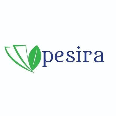 PesiraTech Profile Picture