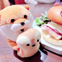 🤍あぬぬん🤍 (@a___n___4___1) 's Twitter Profile