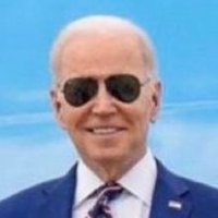 Joe Biden Won In 2020(@terfabinda) 's Twitter Profileg