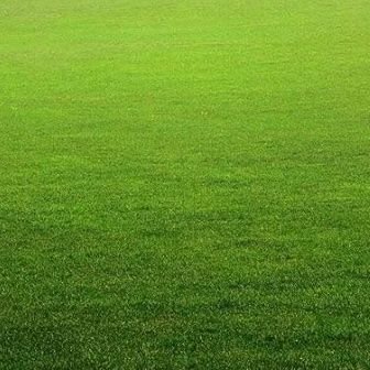 lilywind222's profile picture. 建设女权社会