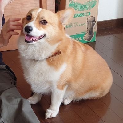 genesismd0890's profile picture. 現在、異世界アニメにドハマり中。

ラジオとアニメが好き。