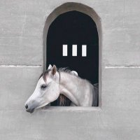 🐚 (@it19__) 's Twitter Profile