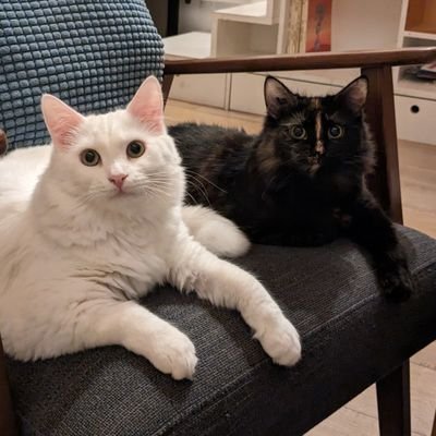 a1s2m3u's profile picture. 