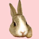 ayua_a Profile Picture
