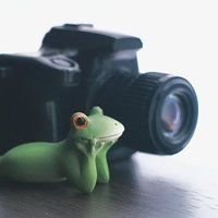 カエル。(@cx5_with_frogs) 's Twitter Profile Photo