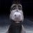 marlonjrfans's profile image