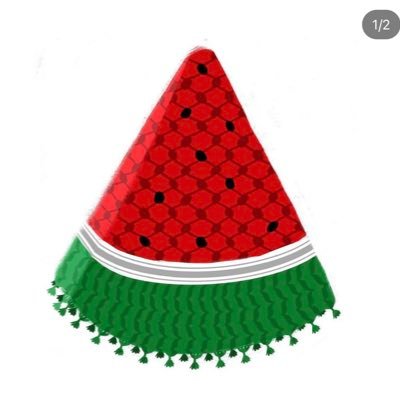 KhurshidIbnAlam's profile picture. No matter your social status or how powerful you are, we are all equal. We came here  by birth and will leave in death.