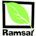 Ramsay Community Association (@ramsaycalgary) Twitter profile photo Ramsay Community Association (@ramsaycalgary) Twitter profile photo
