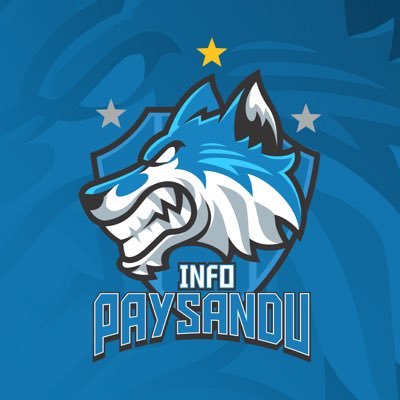 Perfil informativo sobre o @paysandu

Instagram: @infopaysandu