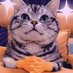 S.WANG (@donpachislk) Twitter profile photo S.WANG (@donpachislk) Twitter profile photo