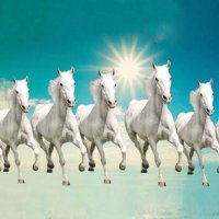 💖 Marasim 💖 # 🇮🇳#INDIA/BILASPUR (@marasim99) 's Twitter Profile