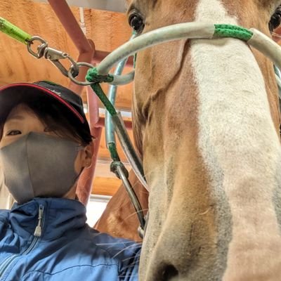 令和元年開院。ばんえい競走馬専門動物病院。帯広畜産大学と協力し、二次診療依頼や、症例報告を積極的に実施。伝統的中医学を学び、統合医療を提供。令和四年度より、一社)ばんえい競馬馬主協会所属馬主様所有競走馬に対する衛生管理指導、獣医事業務等を受託。元、農林水産省国家Ⅰ種(獣医)。独)家畜改良センター所属。