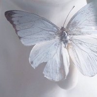 ﮼ريان🦋 (@_r_anoo) 's Twitter Profile