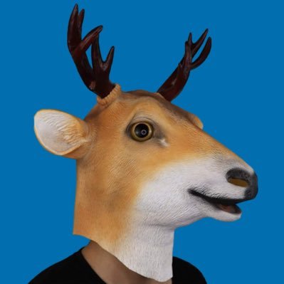 shikabraaaaa's profile picture. 