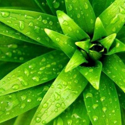 mi3799314474470's profile picture. If you have nothing to lose, start fighting for it now.