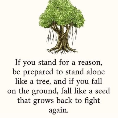 pannymangla's profile picture. Post Graduate