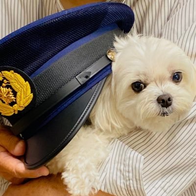 おむっちゃん⊿さんのプロフィール画像