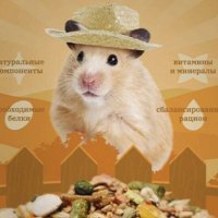Хомяк в шляпе(@vo_slavu_sala) 's Twitter Profile Photo