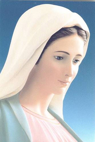 jegabohorquez's profile picture. 