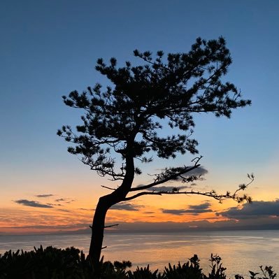 __4miles's profile picture. 仮想化のひと、telecom/OpenStack/NFV/5GS/my tweets are my own