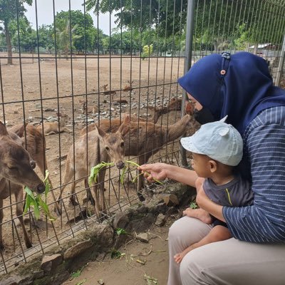 Manusia setengah singa