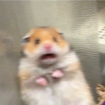 한빈🐹🩵