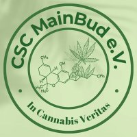 CSC Mainbud e.V.(@CSCMainbud) 's Twitter Profile Photo