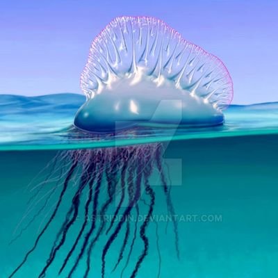Spiccytea's profile picture. I am actually a jellyfish not a human. Really enjoying to be hero x