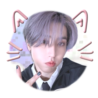 ★//☆ — loving @Stray_Kids as my favorite home. mostly #한 & #리노 ♡ ぐら* . .🐿🐇
