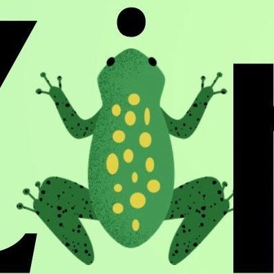 @zingfrog_ai