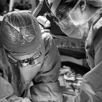 Megan Stout, MD (@megstout13) 's Twitter Profile